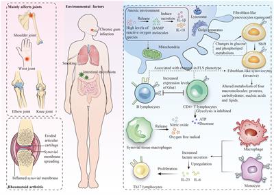 An overview of multi-omics technologies in rheumatoid arthritis: applications in biomarker and pathway discovery